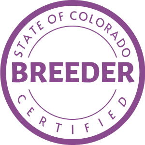 scbc logo